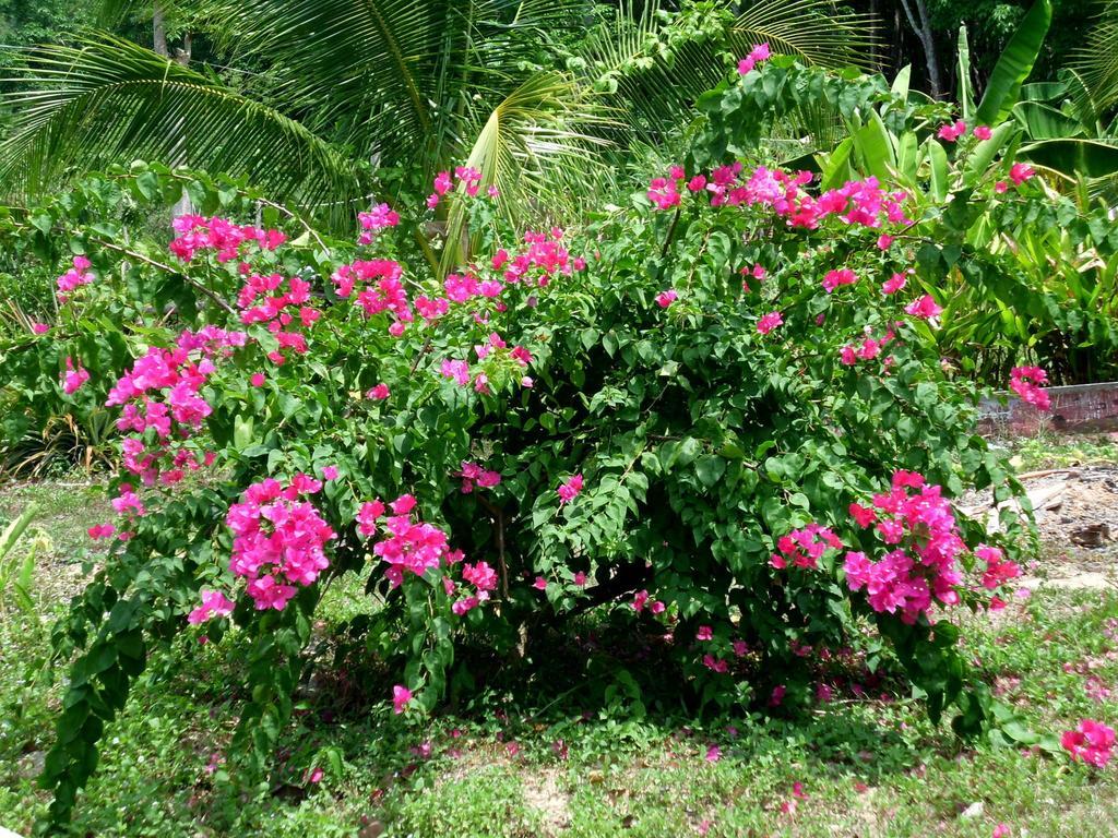 Seagull Villa Ko Lanta Δωμάτιο φωτογραφία