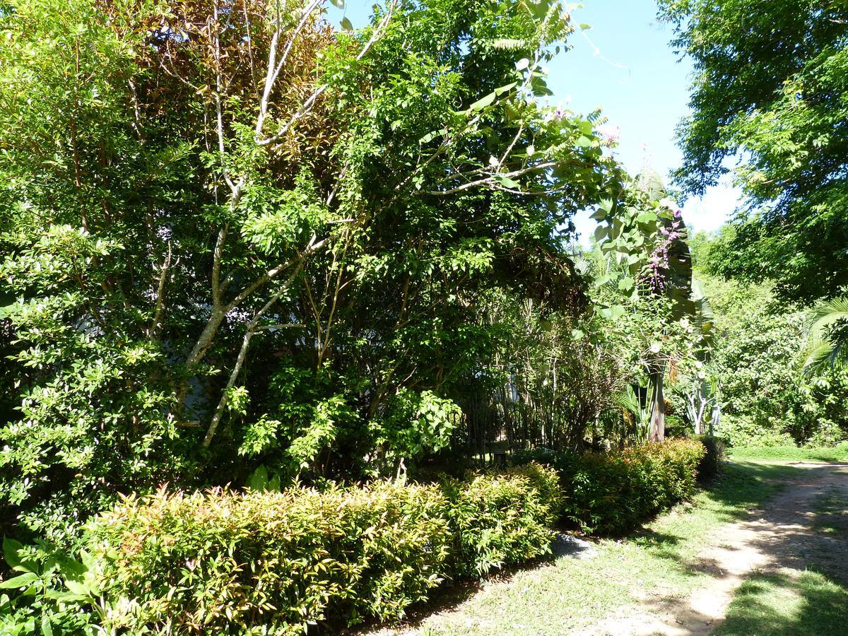 Seagull Villa Ko Lanta Εξωτερικό φωτογραφία